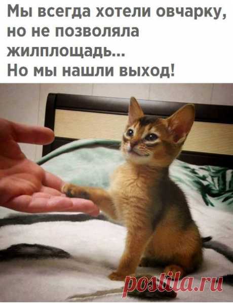 Красивые Картинки