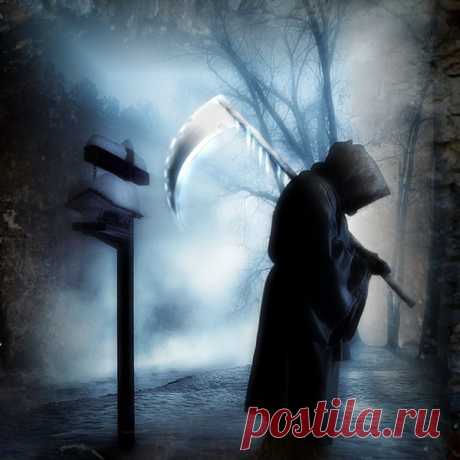 Дорога в рай