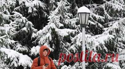 Россиян ждёт самая короткая за 20 лет рабочая зима. В предстоящую зиму россияне будут работать всего 56 дней из 90, что является наименьшим показателем более чем за 20 лет. Читать далее