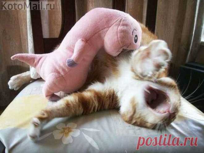 Ой! Щекотно!