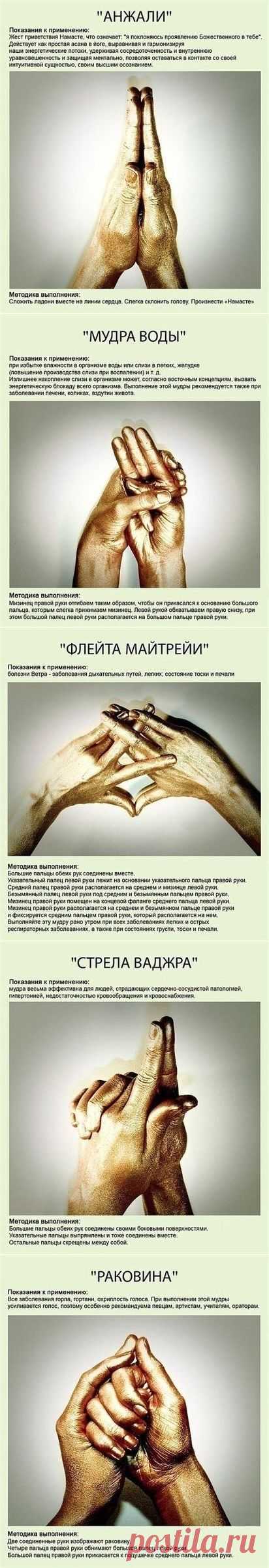 (10) Одноклассники