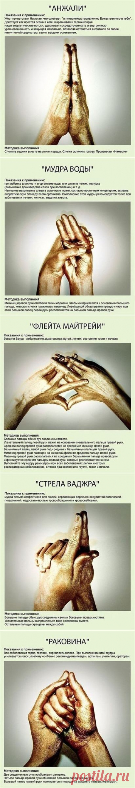 (10) Одноклассники