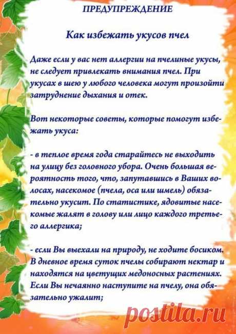 Лето-прекрасная пора... если бы не эти надоедливые насекомые!
Предупрежден - значит, вооружен!
