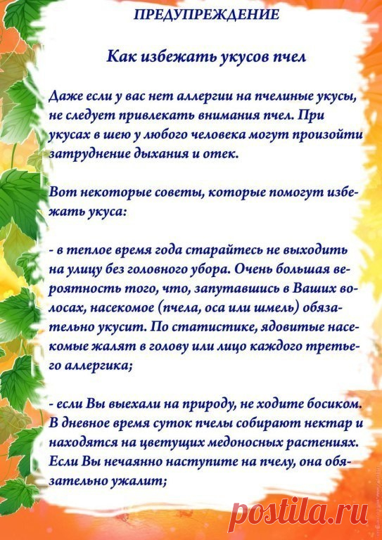 Лето-прекрасная пора... если бы не эти надоедливые насекомые!
Предупрежден - значит, вооружен!