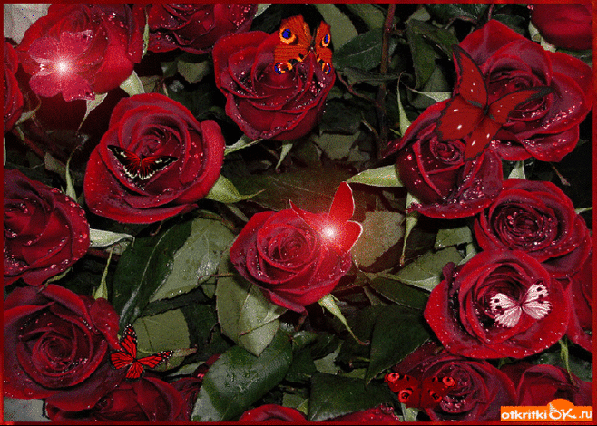 Открытка розы и бабочки - Скачать бесплатно на otkritkiok.ru