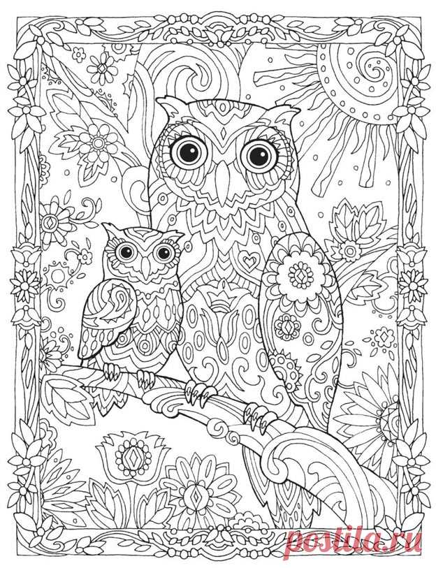 Раскраски Антистресс (Антистрессовые) распечатать бесплатно в хорошем качестве формат А4 для детей, взрослых скачать онлайн животные, лес, волшебный сад