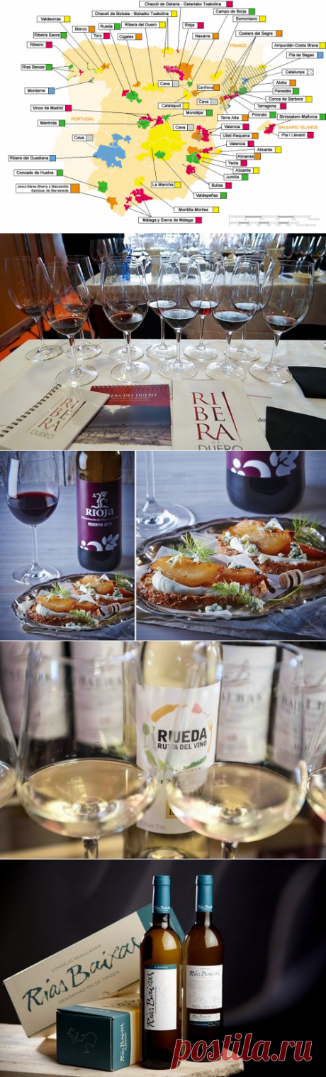 Посещение винотеки в Мадриде, дегустация вина , вы попробуете лучшие вина Испании, Рибера дель Дуэро , Рьоха, Руеда , Риас Байшас, Херес (вино и бренди), Кава (шампанское)