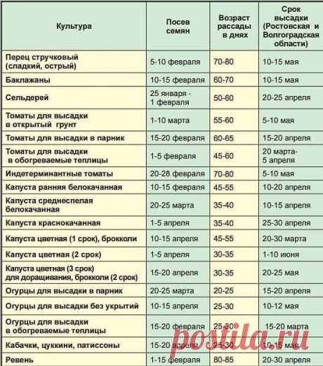 КОГДА САЖАТЬ РАССАДУ В 2020 ГОДУ - КАЛЕНДАРЬ ПОСАДКИ РАССАДЫ
⠀
Работа в саду или огороде требует огромных затрат, как физических, так и духовных. Ведь необходимо не просто посадить растение, но и сделать это с душой и умом. Для достижения успеха необходимо еще и действовать в соответствии с природой, а это бывает не так и легко. 2020 год обещает принести хороший урожай, но при условии, что вы будете следовать лунным циклам. А в этом вам поможет календарь посадки рассады 20...