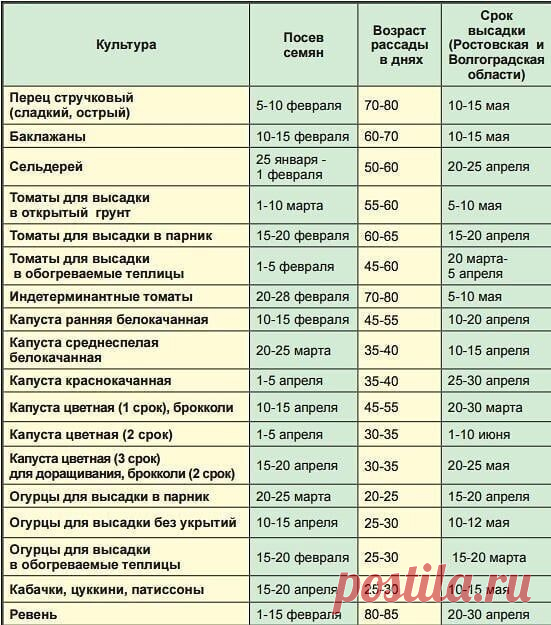 КОГДА САЖАТЬ РАССАДУ В 2020 ГОДУ - КАЛЕНДАРЬ ПОСАДКИ РАССАДЫ
⠀
Работа в саду или огороде требует огромных затрат, как физических, так и духовных. Ведь необходимо не просто посадить растение, но и сделать это с душой и умом. Для достижения успеха необходимо еще и действовать в соответствии с природой, а это бывает не так и легко. 2020 год обещает принести хороший урожай, но при условии, что вы будете следовать лунным циклам. А в этом вам поможет календарь посадки рассады 20...