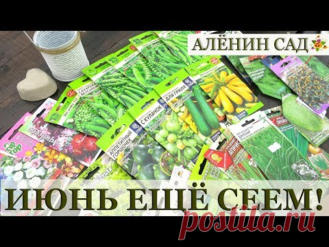 Что можно посеять в июне / Какие цветы и овощи посеять в июне