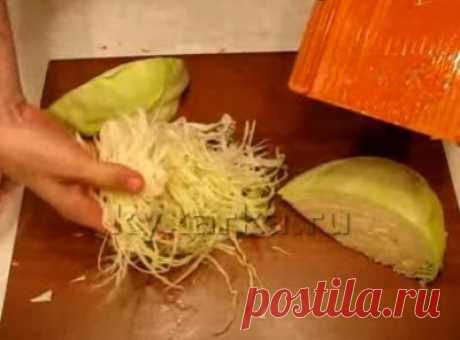 Кухарка: домашняя кухня, видео, кулинария, рецепты, советы, фото| Квашеная капуста (быстрый способ)