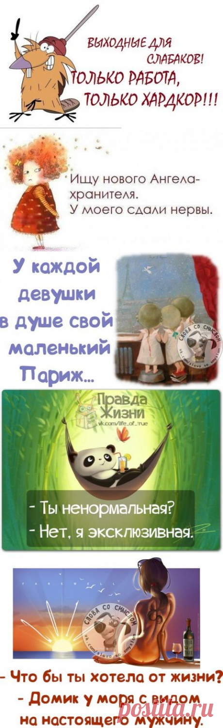 Прикольные, позитивные фразочки с картинками