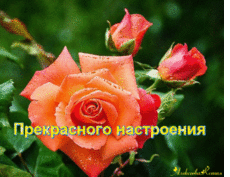 картинки