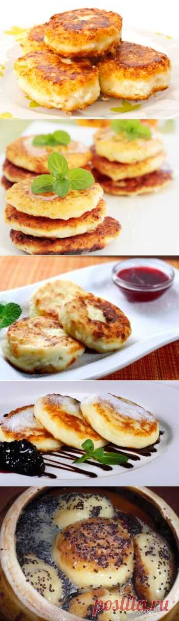 Сырники рецепты сырников из творога , 19 вкусных рецептов
