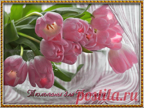 Tyulpanyi-dlya-Tatyanyi-1024x768.gif (1024×768)