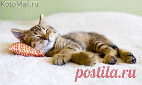 Это идеальный отдых