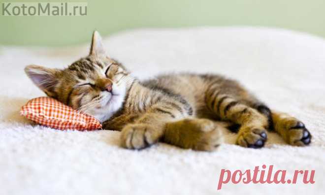 Это идеальный отдых