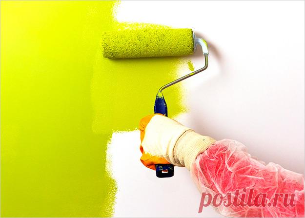 Покраска стен: 10 ошибок, о которых вы должны знать | Свежие идеи дизайна интерьеров, декора, архитектуры на InMyRoom.ru