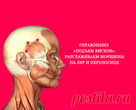Упражнение «Подъем висков» : Разглаживаем морщины на лбу и переносице