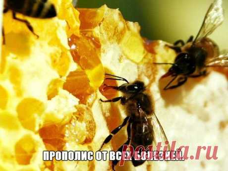 ✺ Все Самое Интересное ✺ | ВКонтакте
