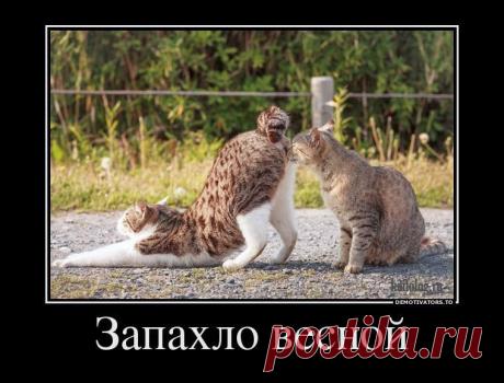 А тут только запахло....
