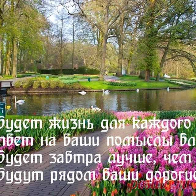 Photo by Ирина Сабитова on May 14, 2020. На изображении может находиться: дерево, на улице, природа и вода