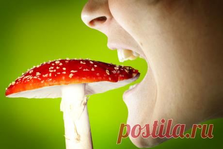 Первая помощь при отравлении грибами.