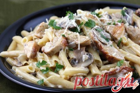 Паста с курицей и грибами в сливочном соусе: рецепт приготовления