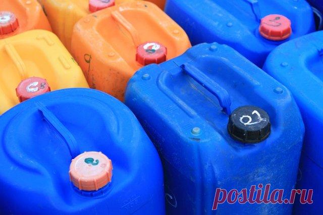 Зачем поливать смородину кипятком | Смородина, крыжовник (Огород.ru)