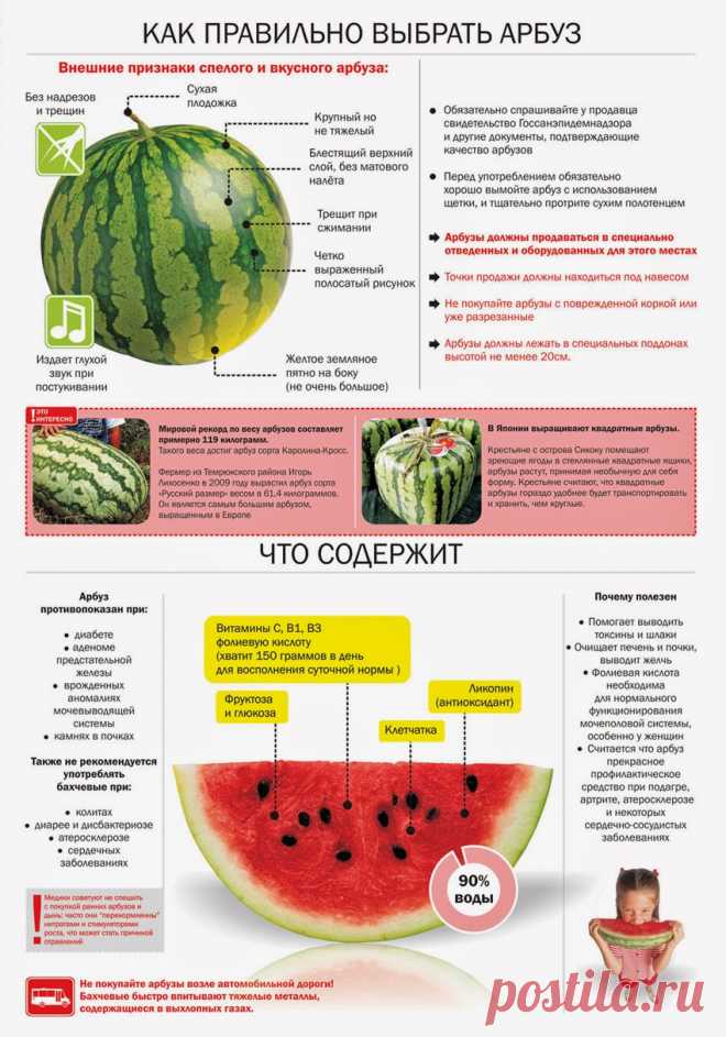 шпаргалка для кухни