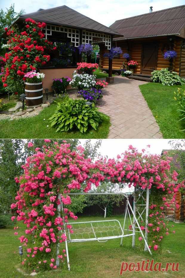 Моя дача: цветники, пруд, баня, беседка с барбекю и казаном