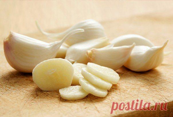 Почти панацея… «Пока есть чеснок на земле, земля будет жить» — Диеты со всего света