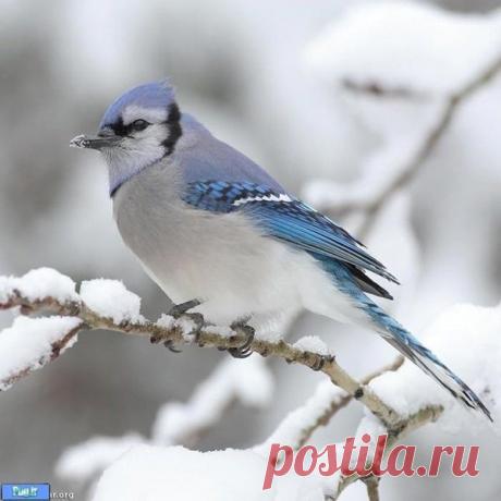 Василий Тимошин vasiliy-timoshin (Vasilek), Москва, Россия на Мой Мир@Mail.RU