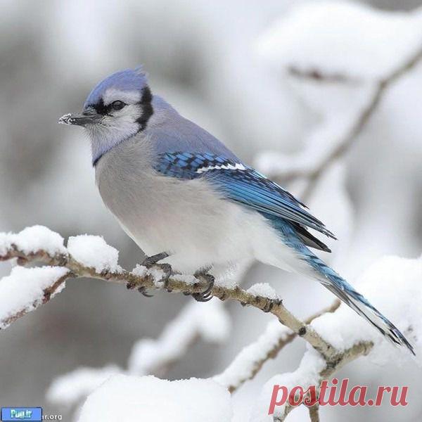 Василий Тимошин vasiliy-timoshin (Vasilek), Москва, Россия на Мой Мир@Mail.RU