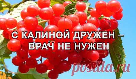 Однокласники