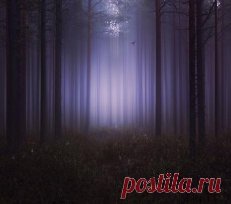 Пейзажные фотографии, пронизанные тишиной — Фотошедевры