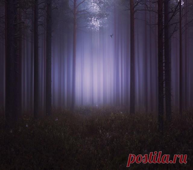 Пейзажные фотографии, пронизанные тишиной — Фотошедевры