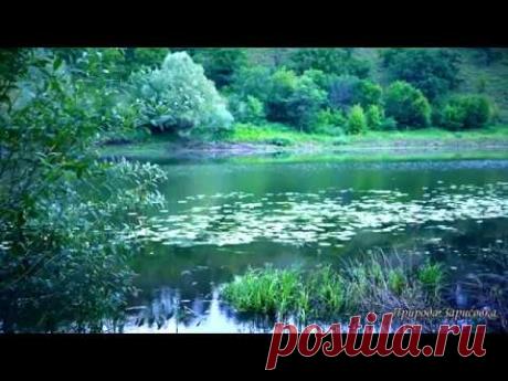 КРАСИВОЕ ВИДЕО...!! Утро, звуки природы, река, старое русло, пение птиц, релакс, природа, медитация
