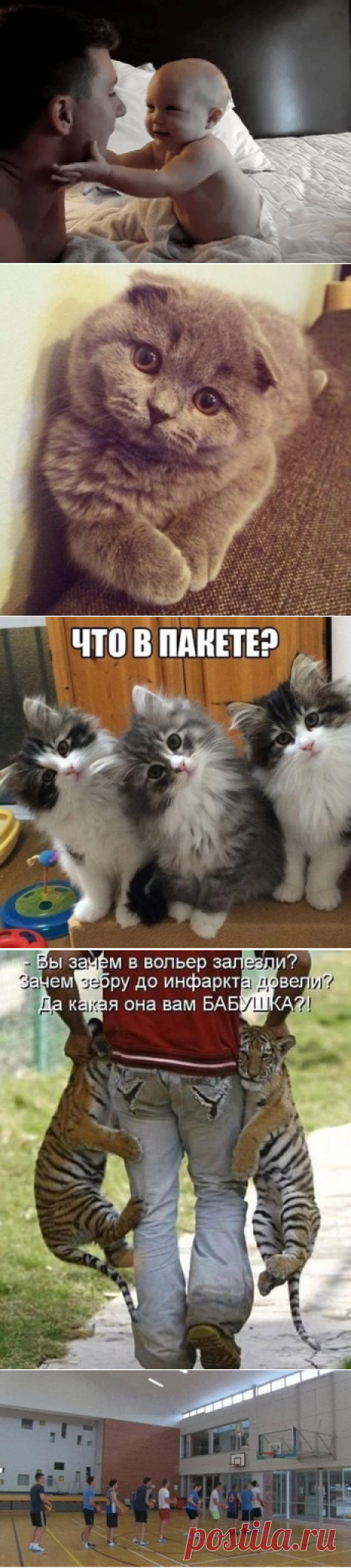 Одноклассники