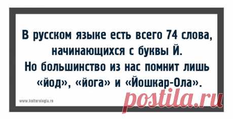 Много занимательных фактов о русском языке