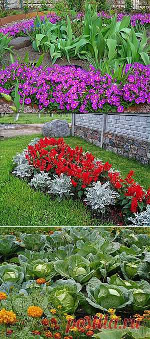 Выпуск №47 - Ландшафтный дизайн своими руками - идеи для дизайна сада