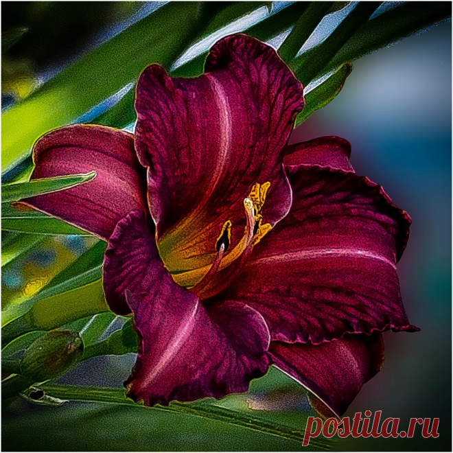 i (1680×1680)