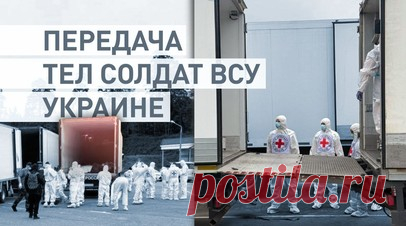 В соответствии со стамбульскими договорённостями: начался процесс передачи тел погибших солдат. Владимир Мединский сообщил о начале процесса передачи тел погибших солдат между Россией и Украиной. Спустя четыре дня Киев забрал 1212 тел своих военных и отдал Москве 27 погибших солдат ВС РФ. До этого рефрижераторы с телами украинских солдат стояли на границе, однако Киев отказывался их забирать. Мединский отметил, что 12 июня начнутся санитарные обмены тяжелоранеными пленными с линии фронта.…