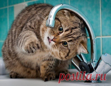 Не отступать и не сдаваться!