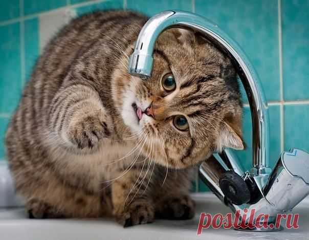 Не отступать и не сдаваться!