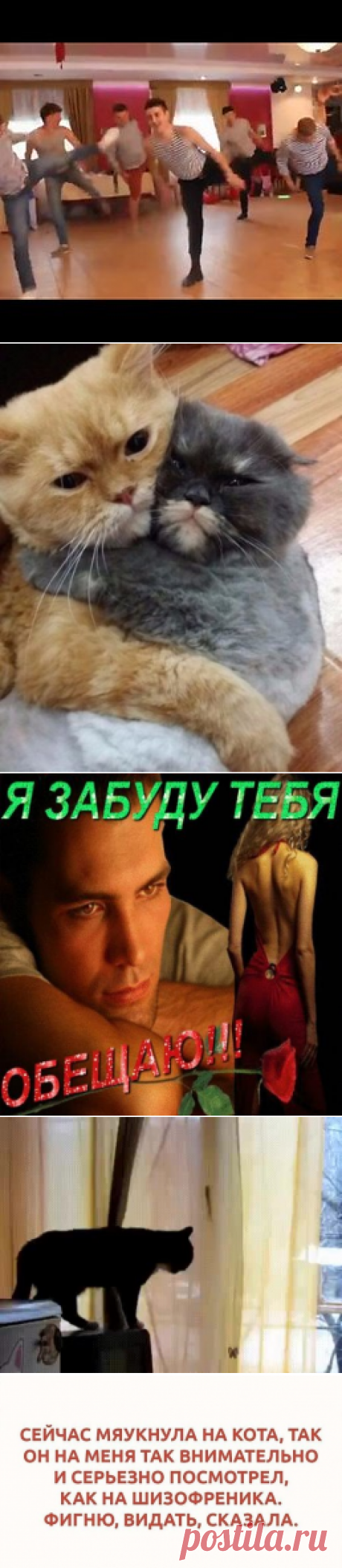 Интересные новости