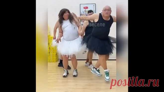 Лебеди просто отпад!! Πацаны, вы сдеʌаʌи ʍой день
