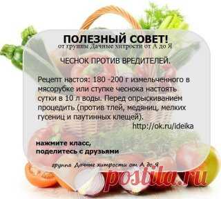 (82) Одноклассники