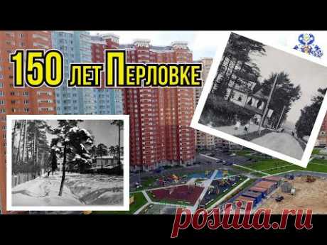 Перловка.  Как вернуть району былую славу? Вместо элитных дач плотная застройка и вырубка деревьев