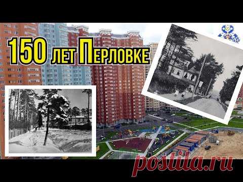 Перловка.  Как вернуть району былую славу? Вместо элитных дач плотная застройка и вырубка деревьев